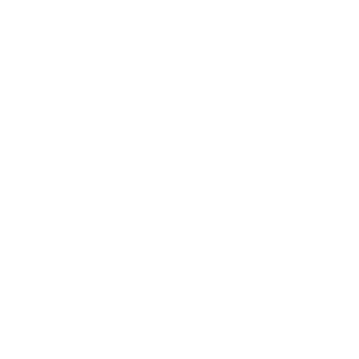 SsangYong Erfahrungswerte Icon