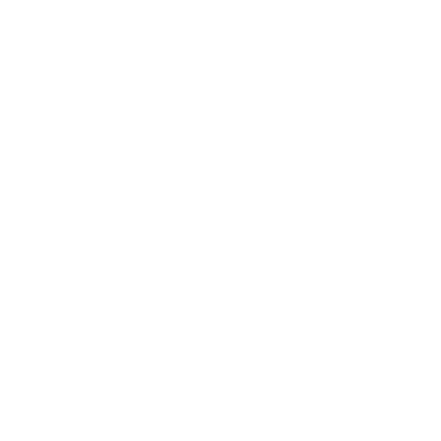 SsangYong Kombinationsmöglichkeiten Icon